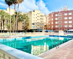 Swimming pool of Flat for sale in Torrevieja  with Air Conditioner and Terrace