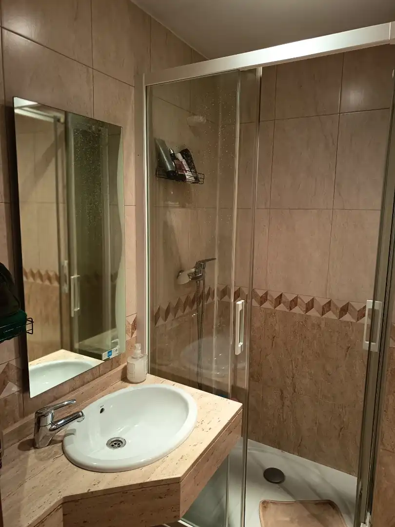 Bathroom of Commercial properties for sale in Madrid