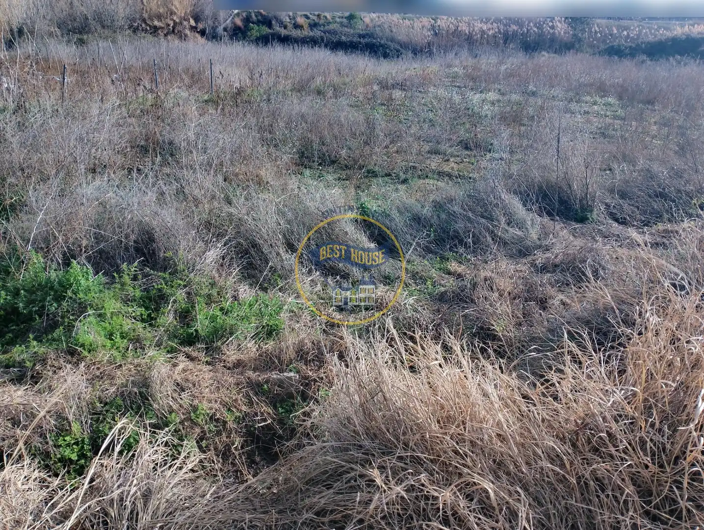 Terrain rustique à vendre à El Pilar, imagen 6