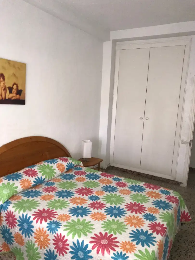 Piso de alquiler en Calle Cataluña, 4, Palomarejos