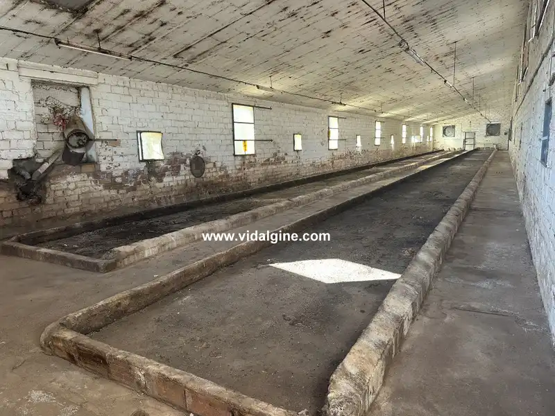 Industrial building for sale in Cami Barceloneta 5B, imagen 6
