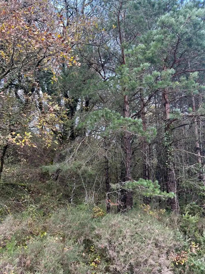 Land for sale in Kuartango