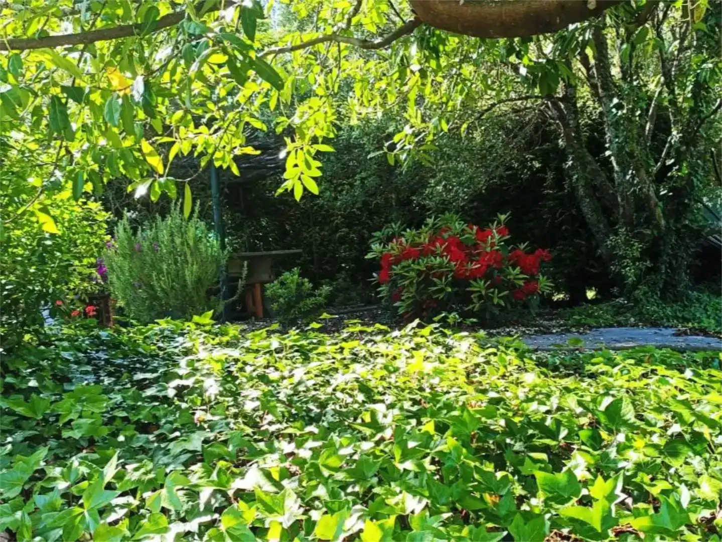 Jardí de Finca rústica en venda en San Sadurniño amb Jardí privat