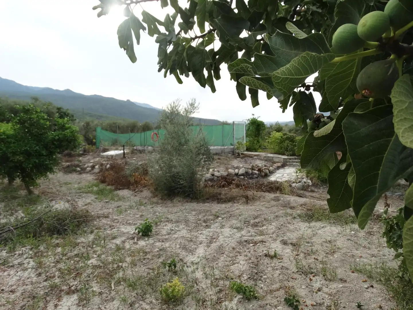 Villa avec piscine à vendre à Moratalla, imagen 35