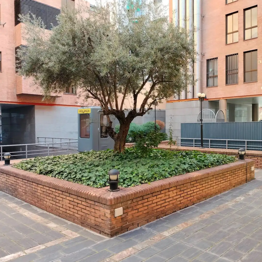 Exterior view of Garage for rent in Madrid