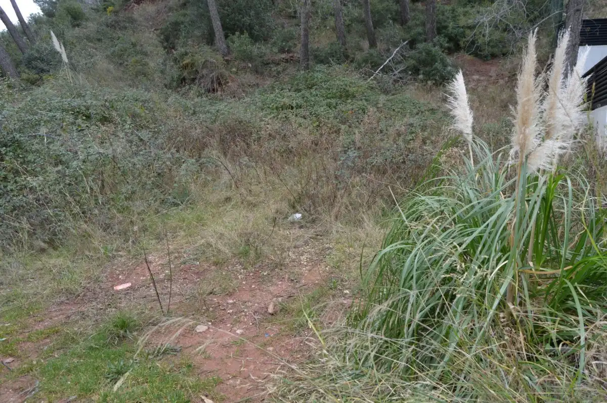 Terreni e lotti in vendita a Corbera de Llobregat, imagen 31