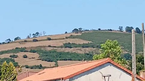 Foto 4 de Casa o chalet en venta en Carretera de Vega, 1040, Sariego, Asturias