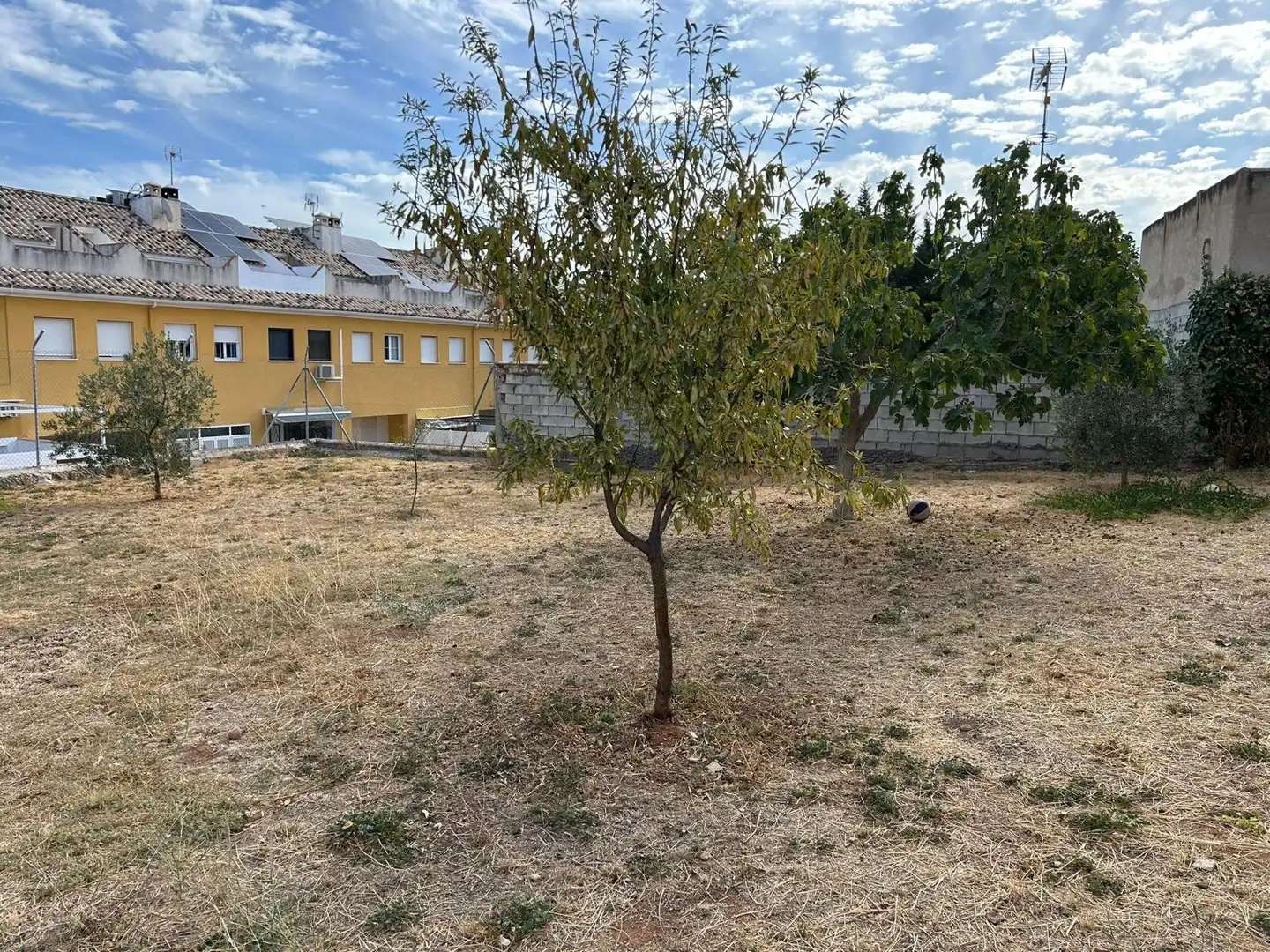Lands and plots for sale in Mollina, imagen 6