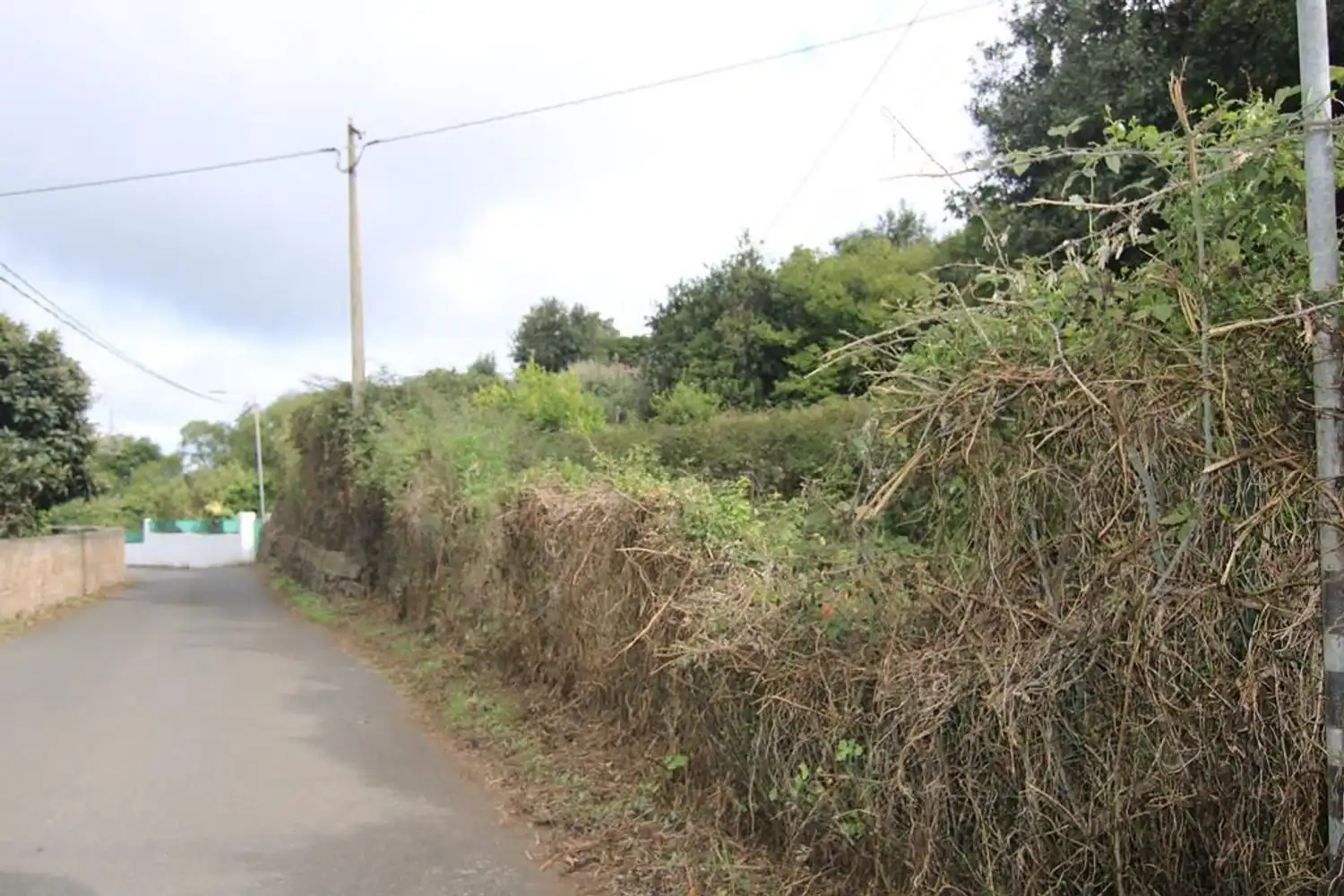Terreno en venta en Valleseco