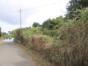 Terreno rustico in vendita a Lugar El Sobradillo, 35349 Valleseco (Las Palmas), España 19
