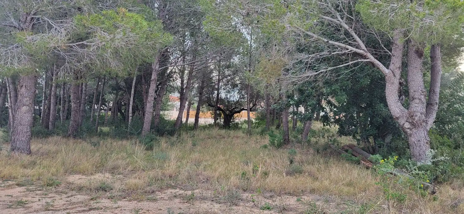 Lands and plots for sale in Meligó, imagen 7