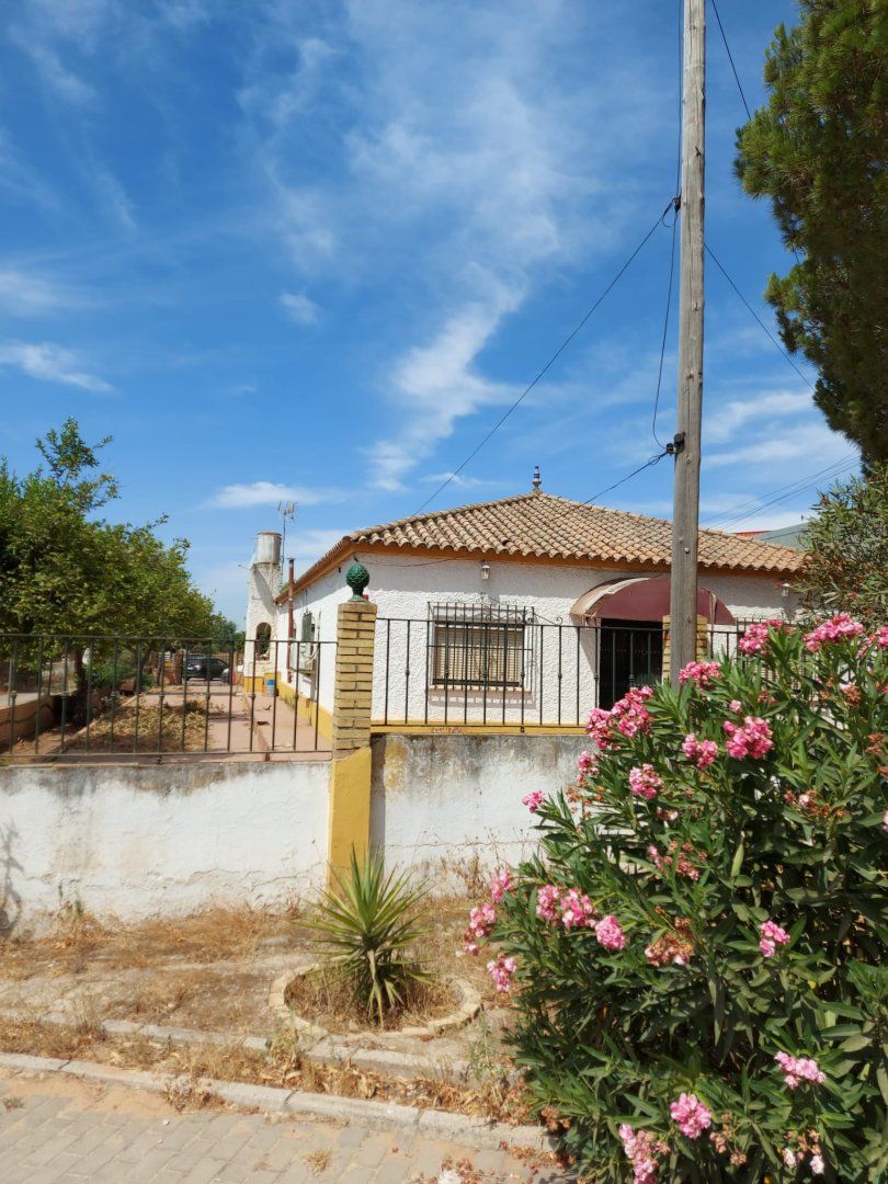 Vista exterior de Casa o chalet en venta en Dos Hermanas con Terraza, Piscina y Amueblado