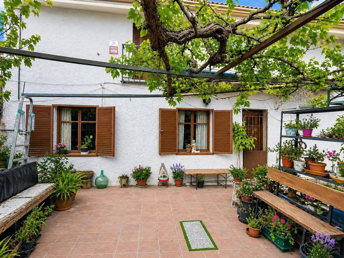 Terraza de Casa o chalet en venta en Pozuelo de Alarcón