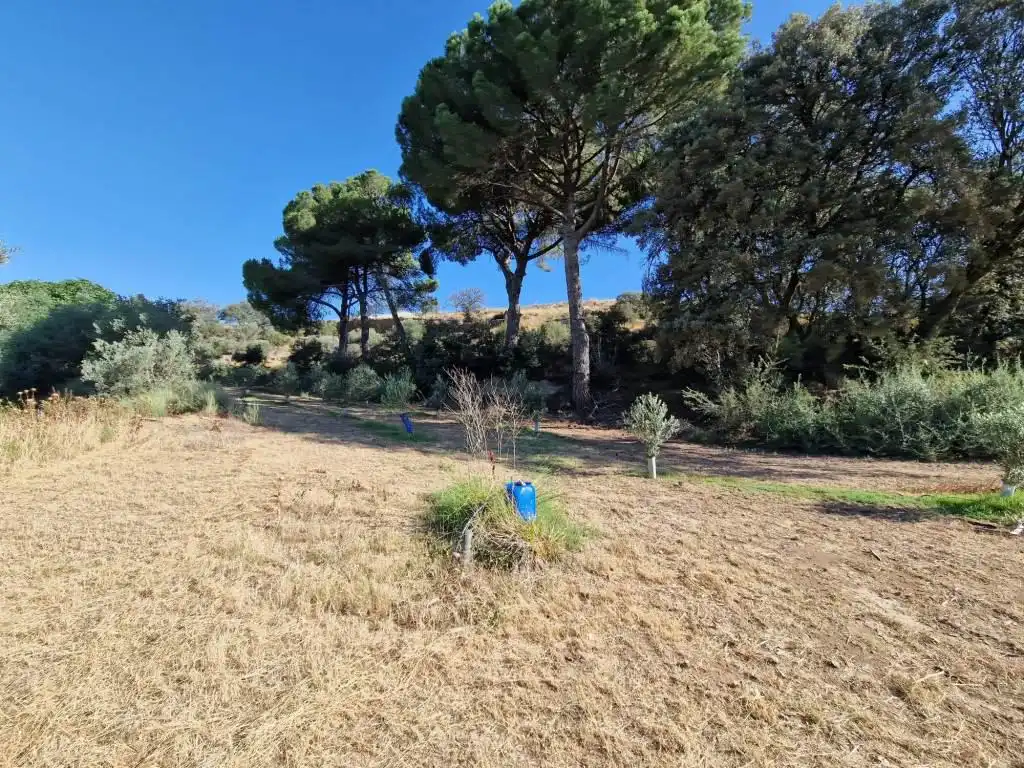 Terreno en venta en Binaced