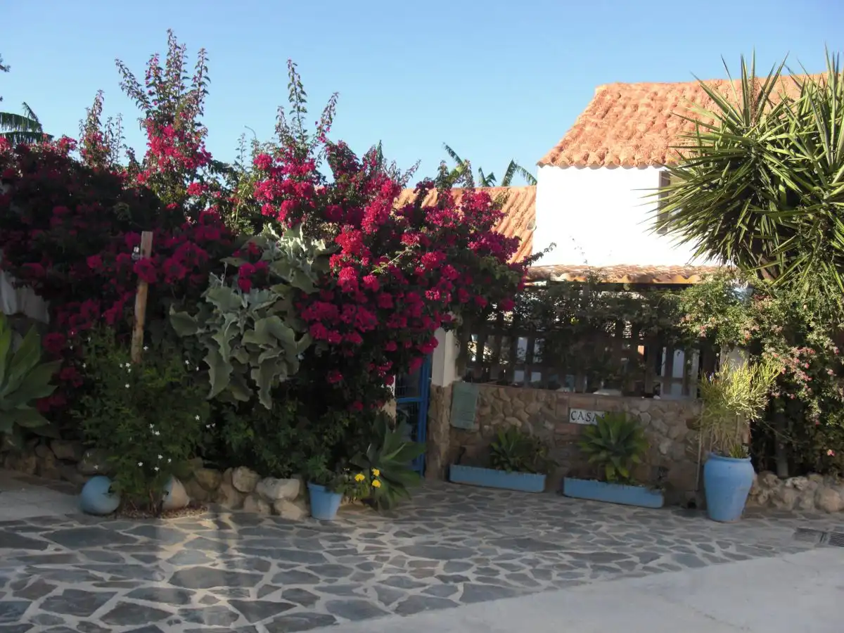 Maison rustique à vendre à Vejer