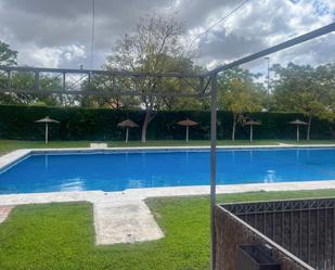 Swimming pool of Flat to rent in  Sevilla Capital  with Air Conditioner, Heating and Terrace