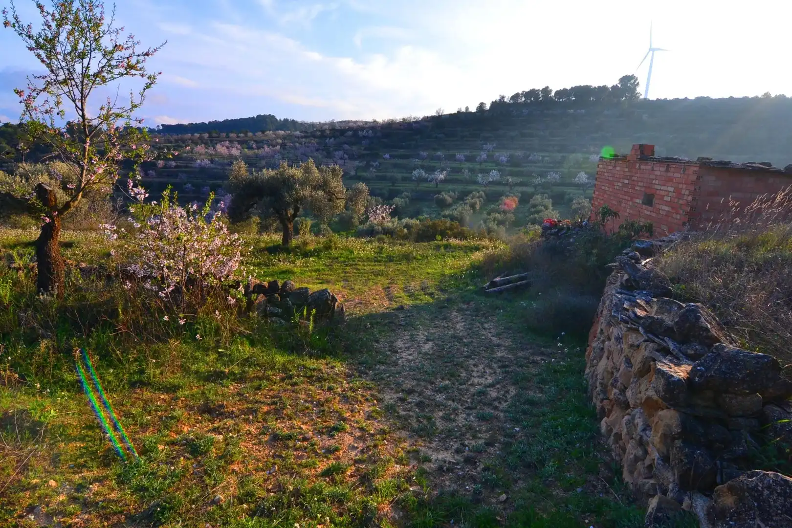 Rural land for sale in Corbera d'Ebre, imagen 70