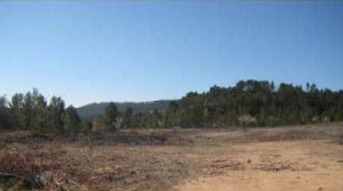 FINCA PARA RECREO Y VIVIENDA RURAL, immagine 4