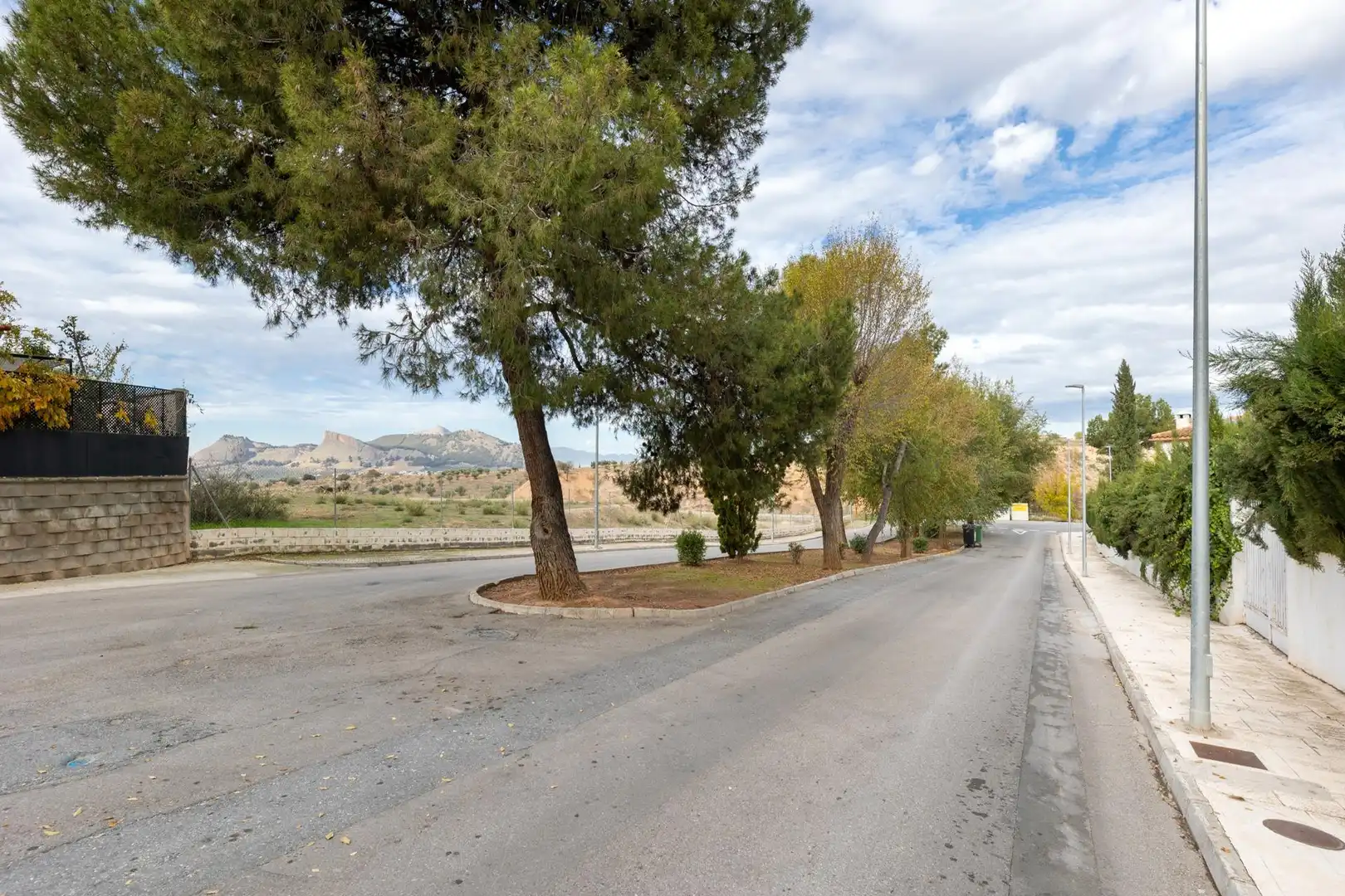 Wohnbaugrundstück zum Verkauf in Avenida de los Olivos 6C, imagen 11