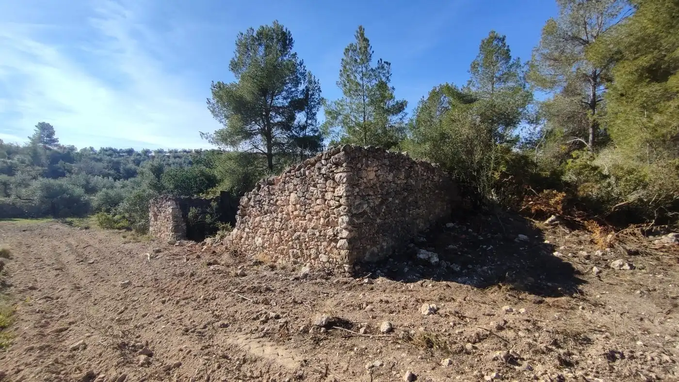 Rural land for sale in Carrer de les Pinyeres 24, imagen 8