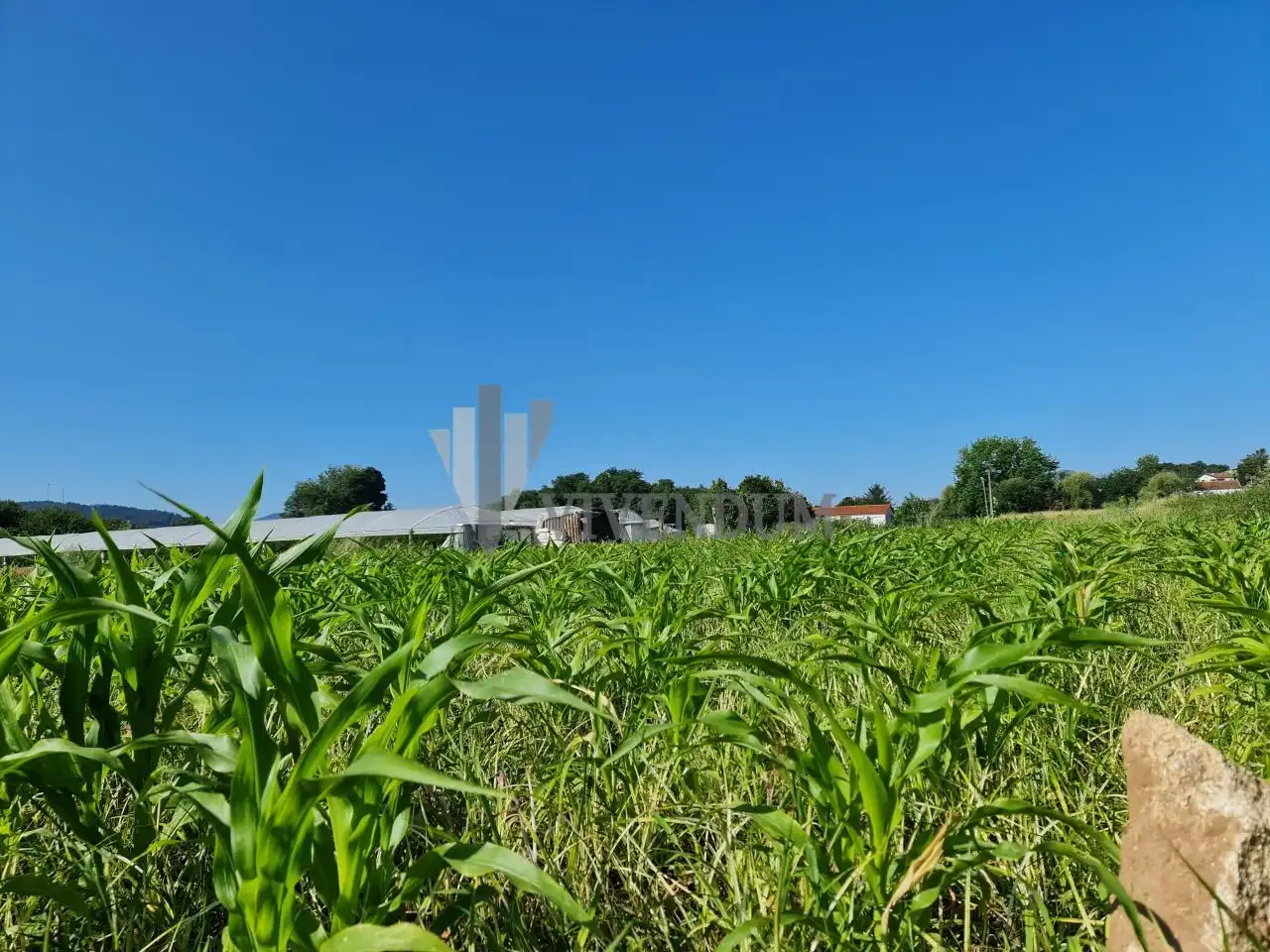 Terreny residencial en venda a O Rosal, imagen 7