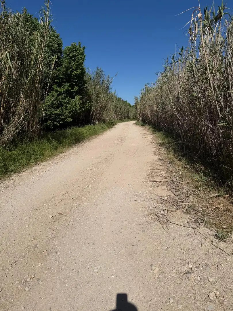 Rural land for sale in Diseminado Navalcarnero, imagen 20