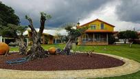 House or chalet for sale in Tui, imagen 2