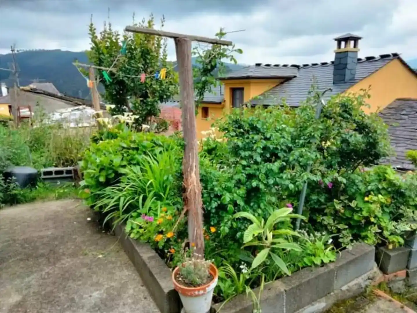 Garden of Detached homes for sale in Vegadeo
