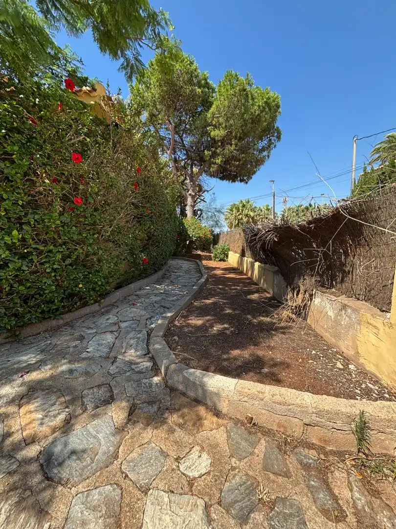 Exterior view of Houses for sale in Cartagena  with Private garden, Terrace and Storage room