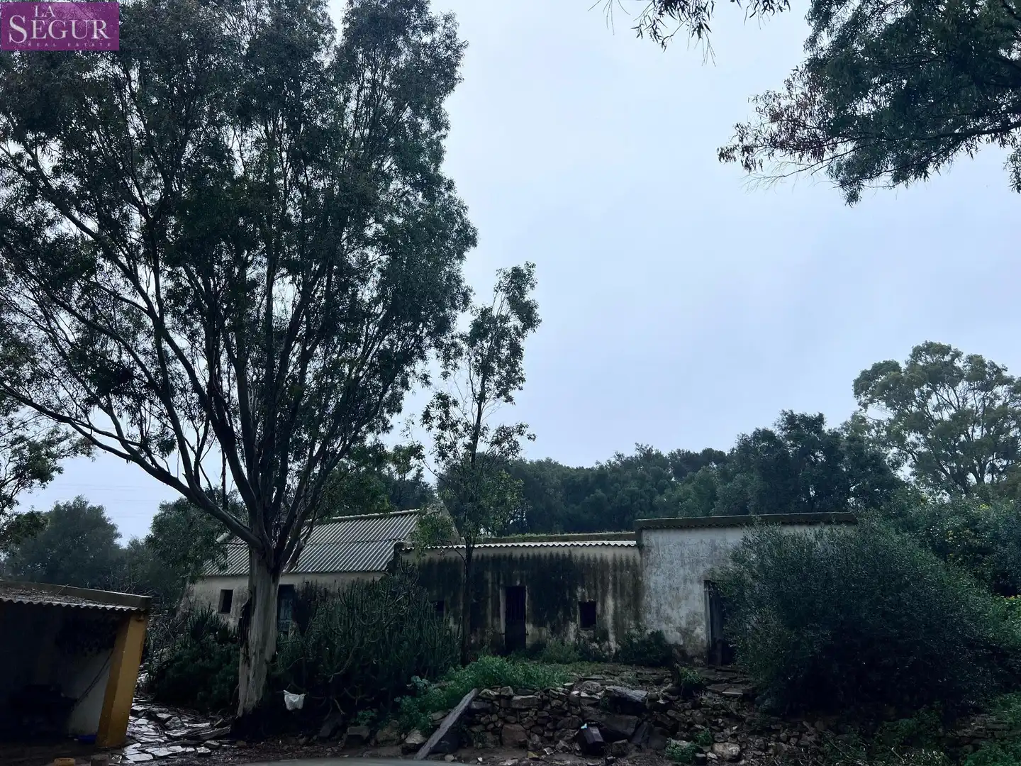 Vista exterior de Finca rústica en venda en Vejer de la Frontera amb Jardí privat
