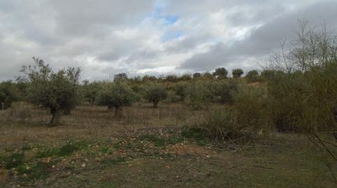 Foto 5 de Residencial en venta en Sector Residencial Iv-poligono 1-quer-va, 50, Quer, Guadalajara