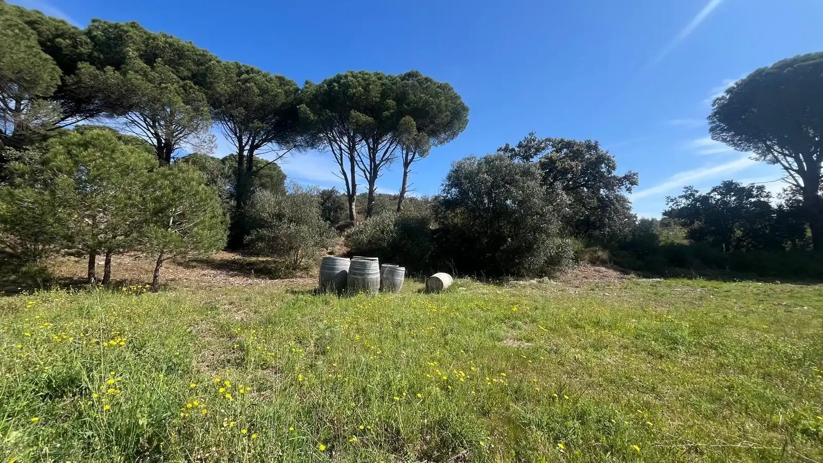 Terreny rústic en venda a Sant Climent Sescebes, imagen 9
