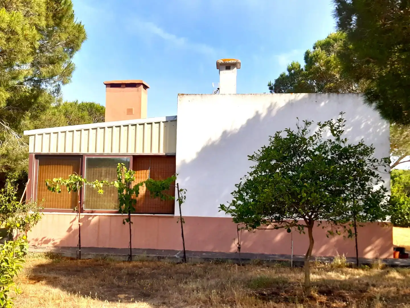Vista exterior de Casa o chalet en venta en Puerto Real