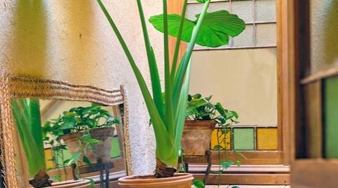 Foto 5 de Apartament de lloguer a Carrer de Pedret, Pont Major - Pedret - Campdorà, Girona