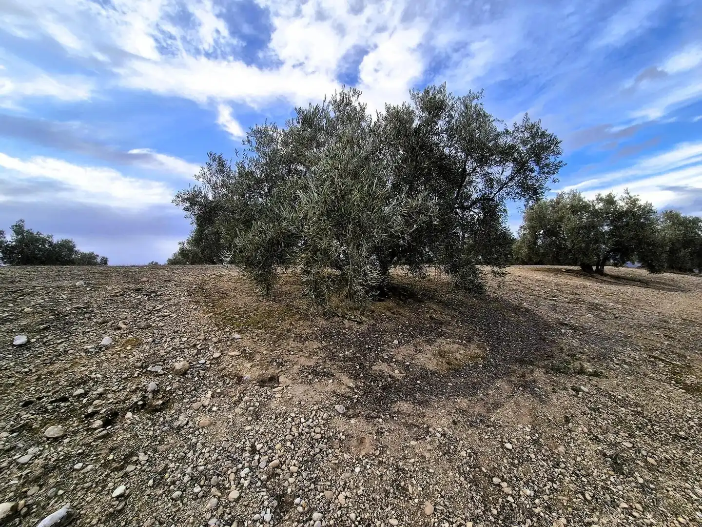 Rural land for sale in Huétor Tájar, imagen 13