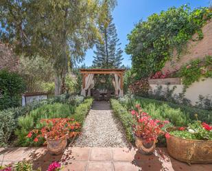 Garden of Apartment to share in Marbella  with Terrace