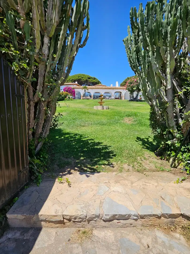 Jardí de Casa o xalet de lloguer en Marbella amb Aire condicionat, Jardí privat i Terrassa