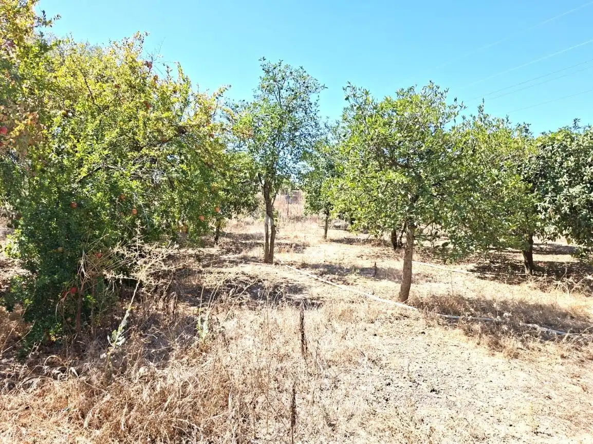 Finca rústica en venta en Almensilla con Trastero