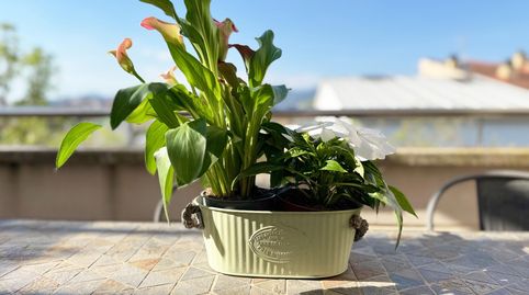 Foto 5 de Piso en venta en Cardedeu, Barcelona