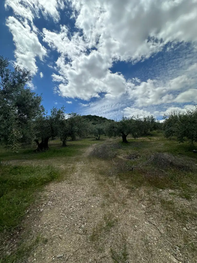 Terreni e lotti in vendita a Periana, imagen 43