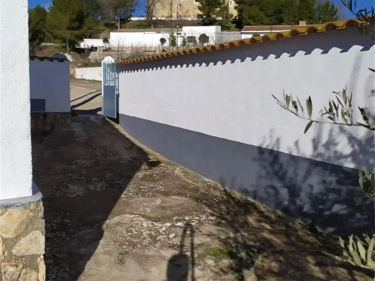 Vista exterior de Casa o chalet en venta en Tresjuncos con Piscina