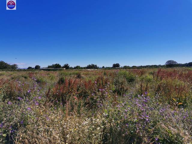 Terreno en Venta en Marcilla