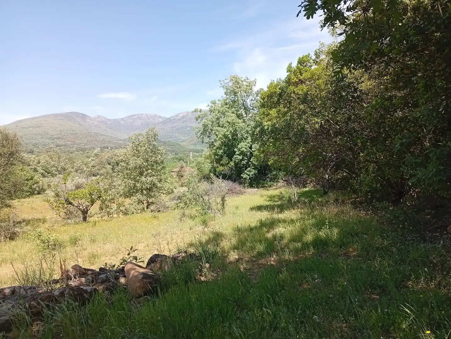 Terreni e lotti in vendita a Villanueva de la Vera, imagen 94