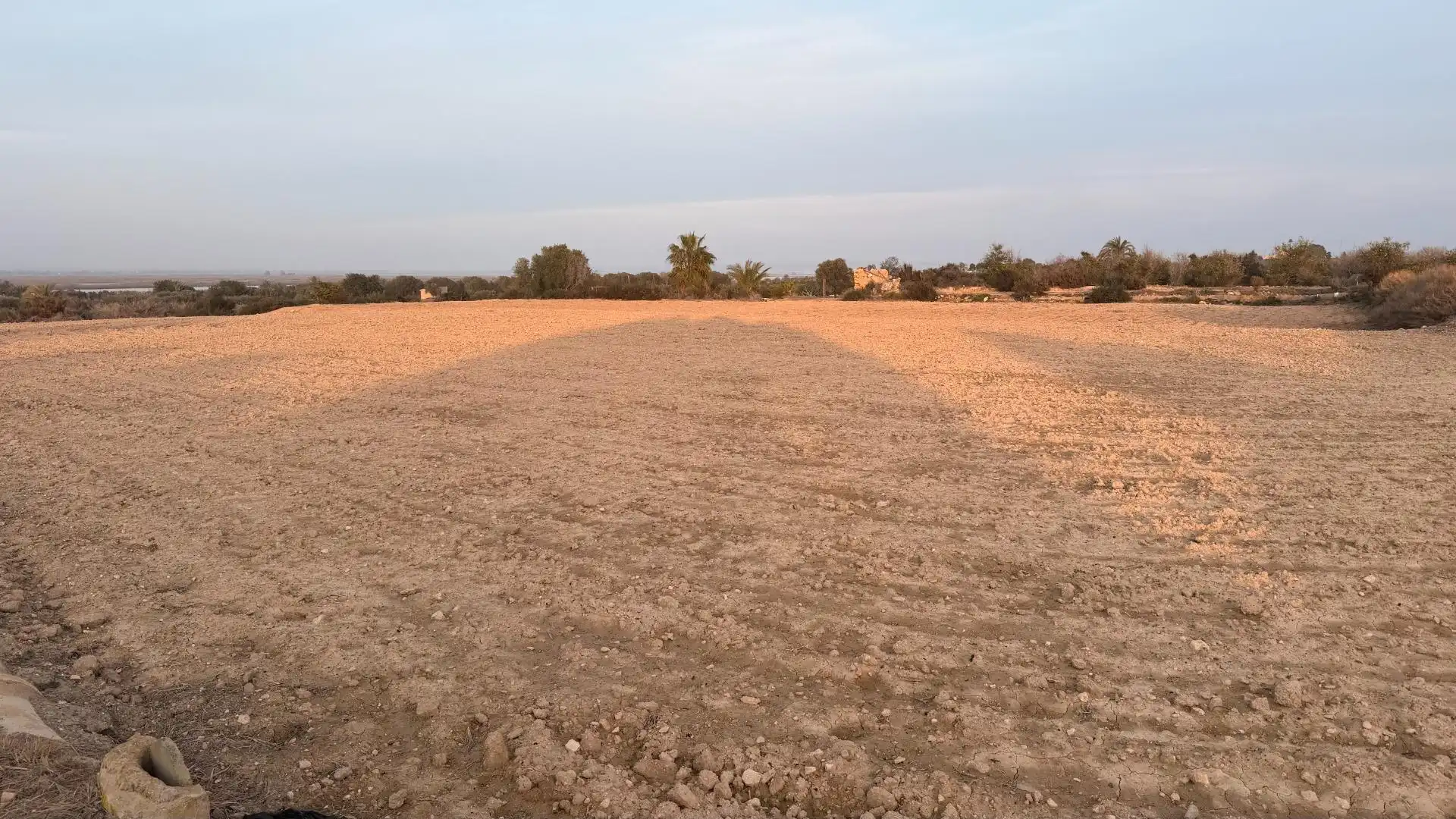 Terrain rustique à vendre à La Marina, imagen 14