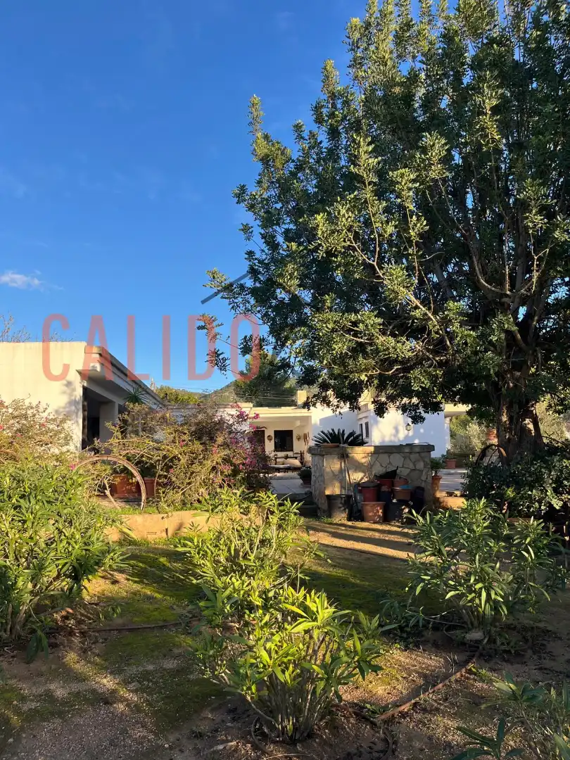 Haus oder Chalet zum Verkauf in Calvià pueblo
