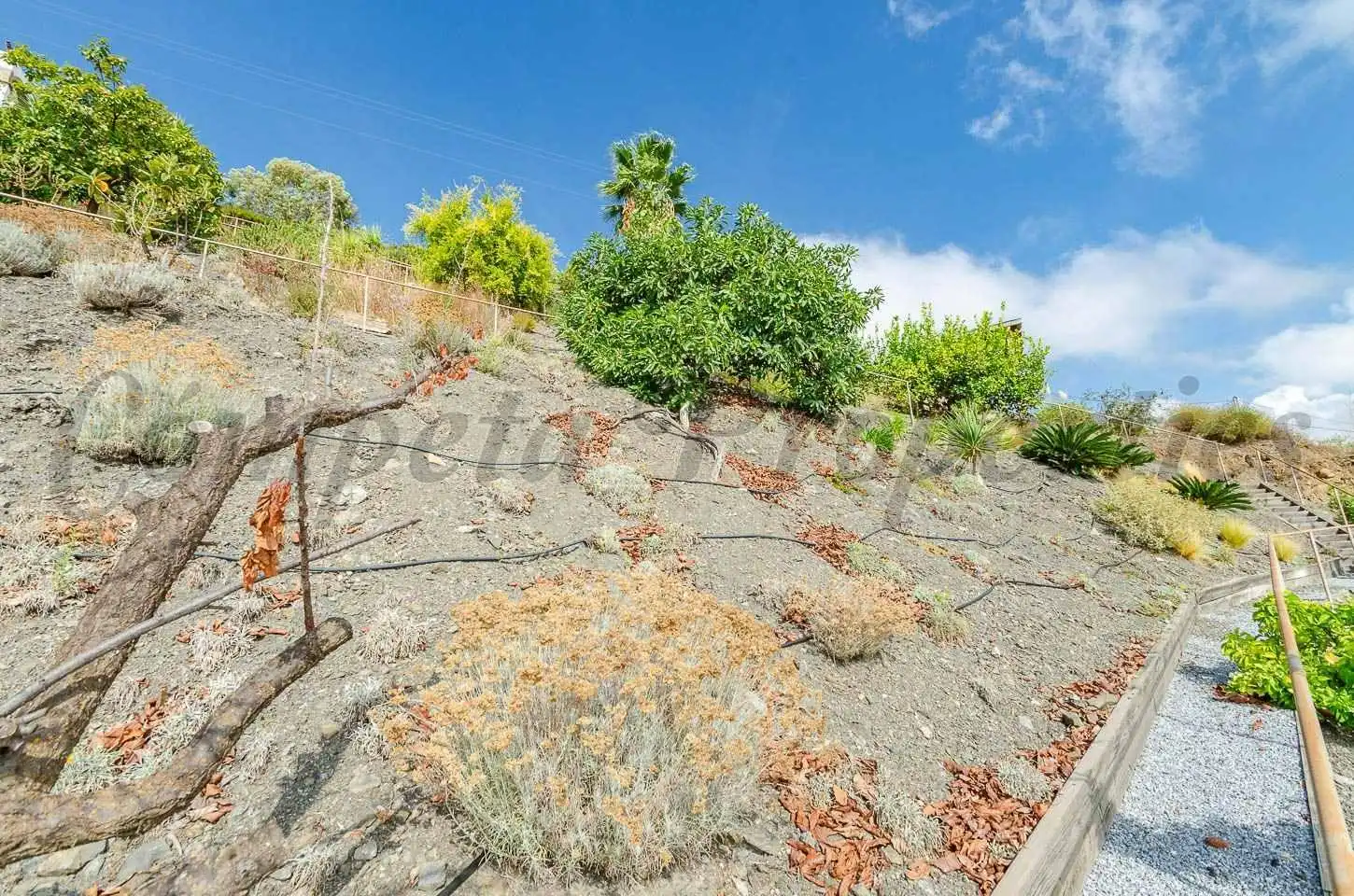Maison avec terrasse à vendre à Cómpeta, imagen 15