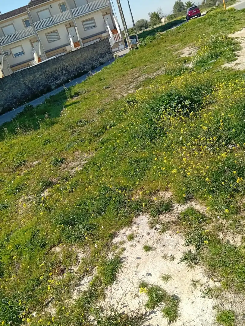Residential land for sale in Benigànim, imagen 4
