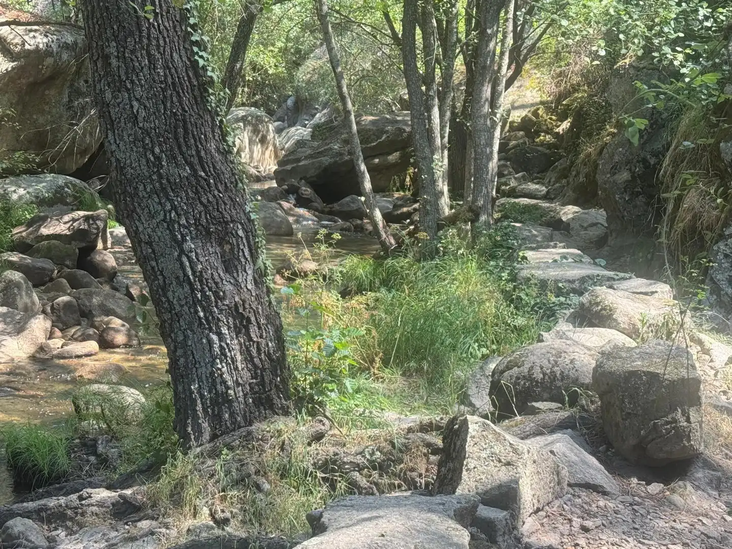 Jardí de Casa adosada en venda en Lanzahíta