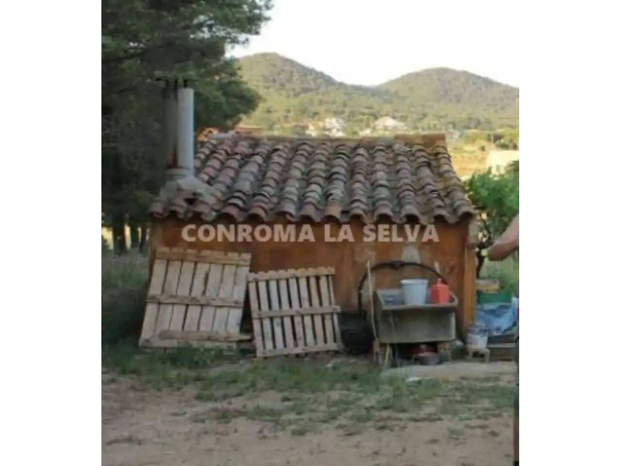 Terreno rustico in vendita a Mas Mora - Sant Daniel, imagen 11
