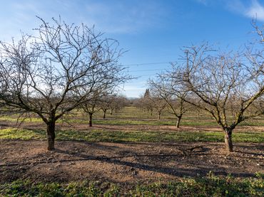 Rustikales Grundstück zum Verkauf in TP-3311 3C